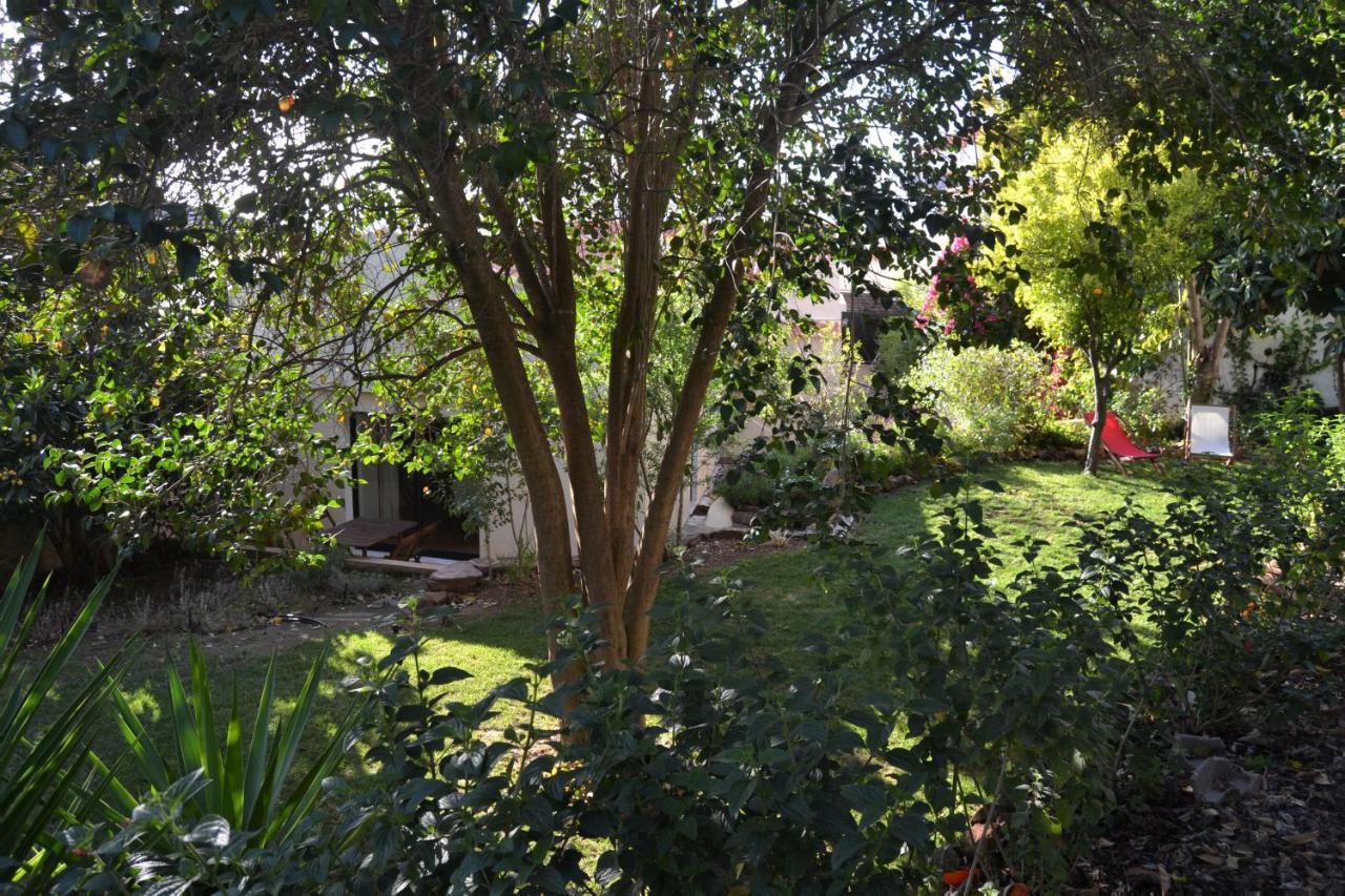 Garden In The City Silves Exterior photo